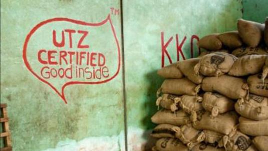 Bergene-Melk-er-laget-med-UTZ-sertifisert-kakao-som-gir-hoeyere-inntekt-og-bedre-levekaar-for-kakaoboendene-paa-Elfenbenskysten_large